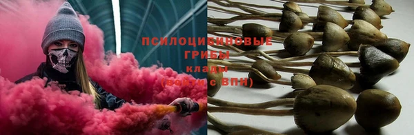 дживик Михайловск