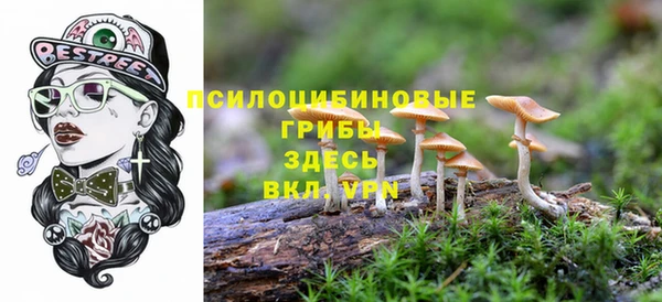 дживик Михайловск