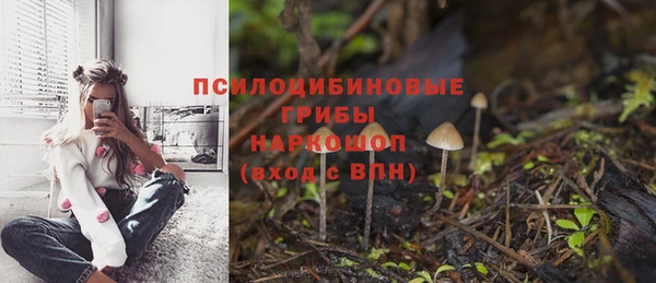 дживик Михайловск