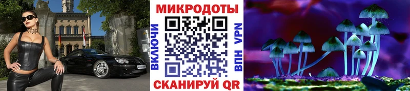 наркота  Магас  Псилоцибиновые грибы мицелий 